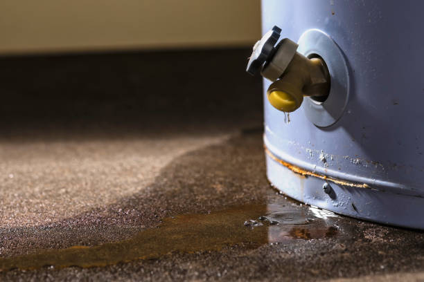 Best Flood restoration services  in Millersville, PA