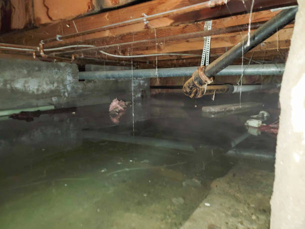 Best Commercial water damage restoration  in Millersville, PA