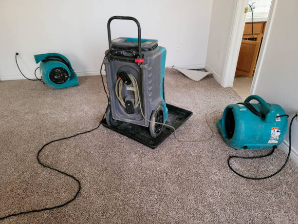 Water damage restoration insurance claims in Millersville, PA