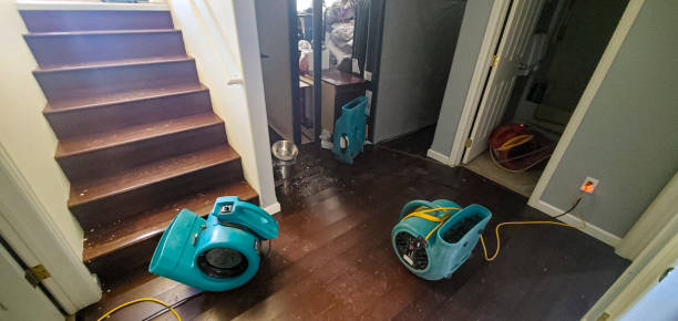Best Water damage restoration process  in Millersville, PA