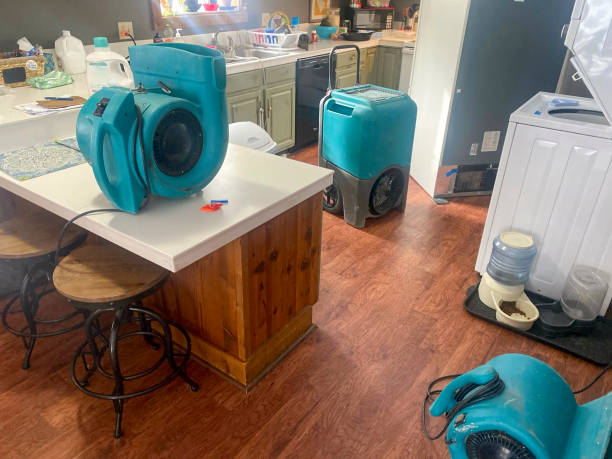 Best 24-hour water damage restoration  in Millersville, PA