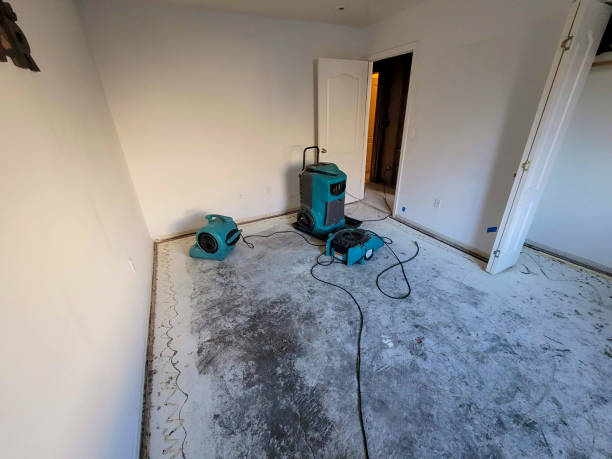 Best Professional water damage repair  in Millersville, PA