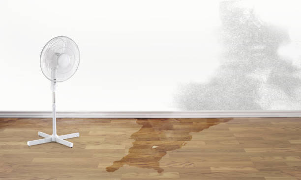 Best Water damage restoration near me  in Millersville, PA