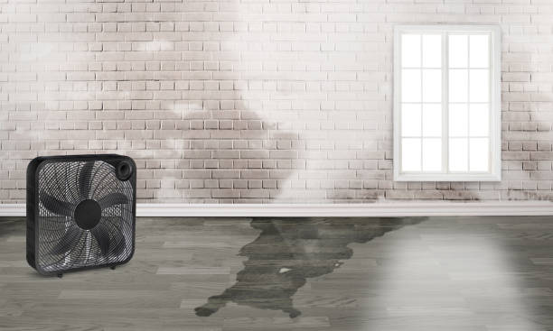 Trusted Millersville, PA Water damage restoration Experts