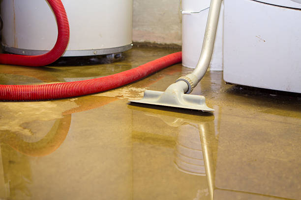 Best Flooded house restoration  in Millersville, PA