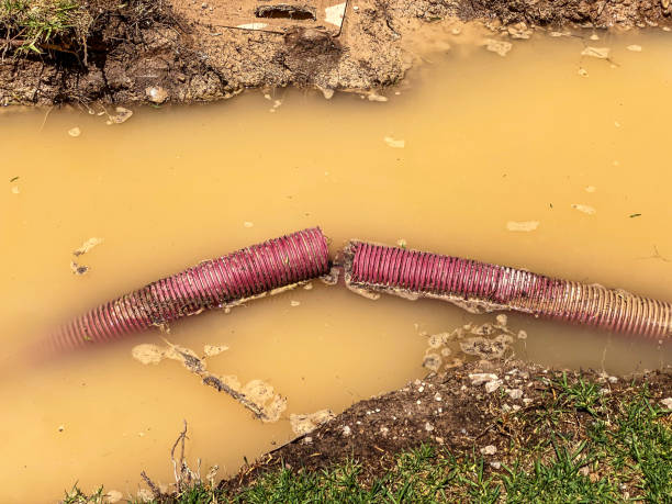 Best Residential water damage restoration  in Millersville, PA
